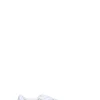 ARMANI EXCHANGE Sneaker donna bianca