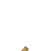 BIRKENSTOCK ARIZONA EVA Ciabatta donna oro