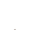 BIRKENSTOCK Ciabatta uomo moka