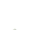 BIRKENSTOCK GIZEH Ciabatta donna verde