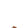 COLORS OF CALIFORNIA Ciabatta donna marrone in suede