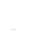 CONVERSE - CHUCK 70 OX