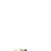 FLOWER MOUNTAIN by Naturino Sneaker bimba multicolor
