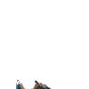 FLOWER MOUNTAIN Sneaker uomo multicolor in suede