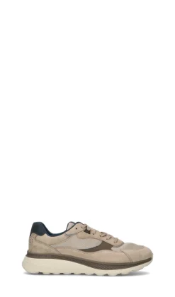 GEOX Sneaker uomo