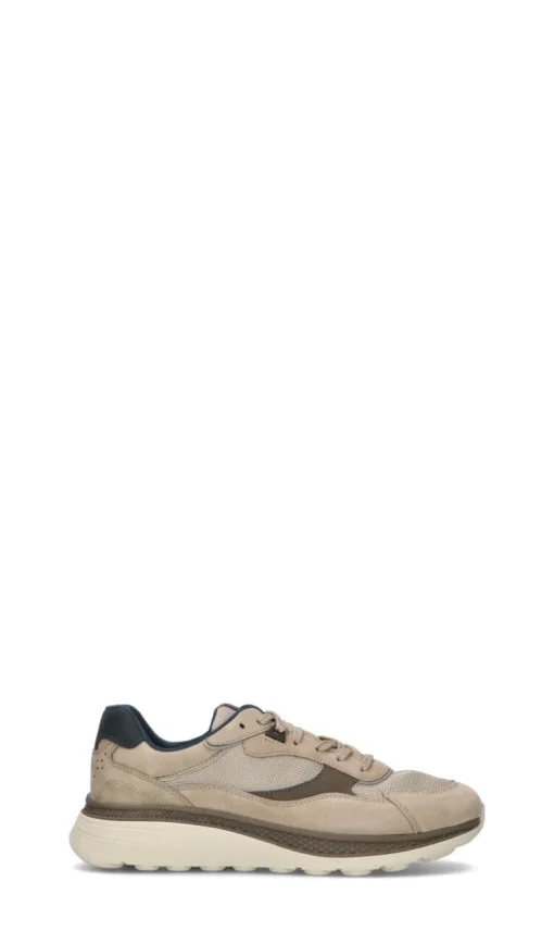 GEOX Sneaker uomo