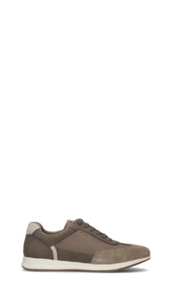 GEOX Sneaker uomo grigia