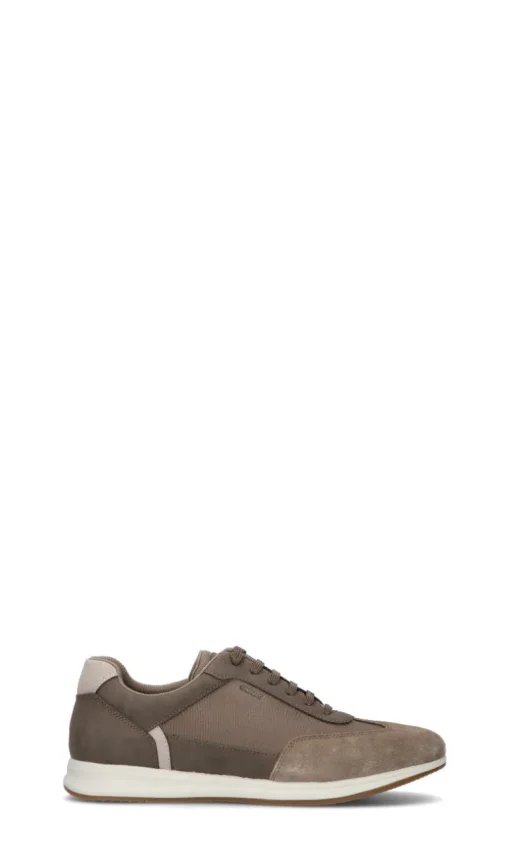 GEOX Sneaker uomo grigia