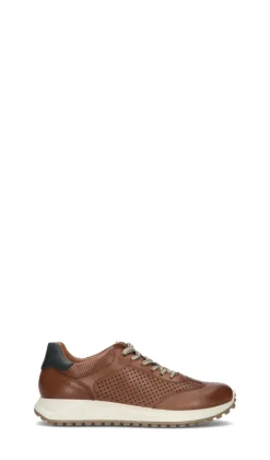 IGI&CO Sneaker uomo tabacco in pelle