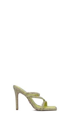 STEVE MADDEN