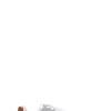 U.S. POLO ASSN. Sneaker uomo bianca/cuoio